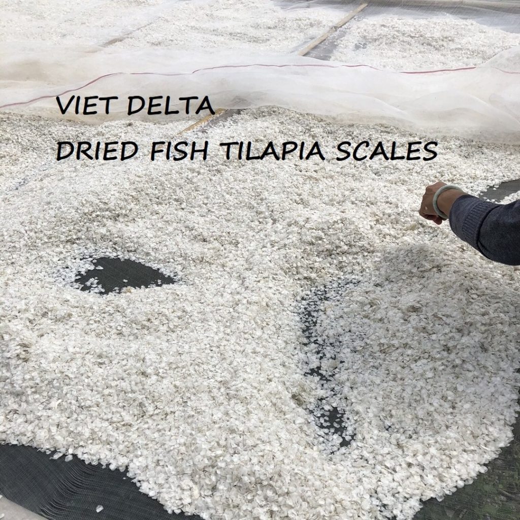 Best Seller Dried Fish Scales From Viet Nam