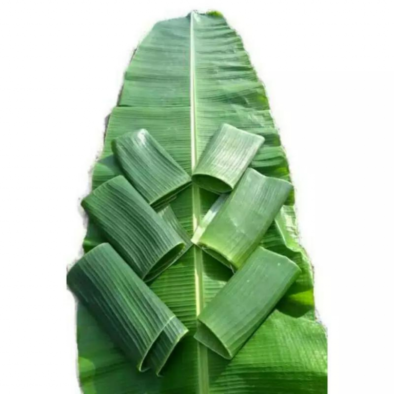 High Quality Frozen Banana Leaf From Viet Nam