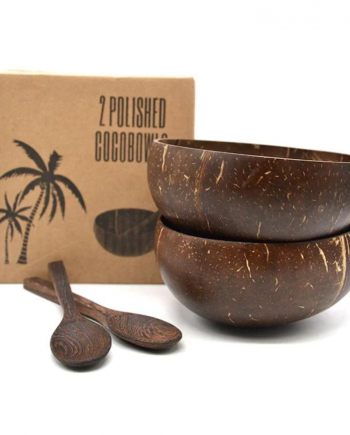 COCONUT BOWL AND COCONUT SPOON