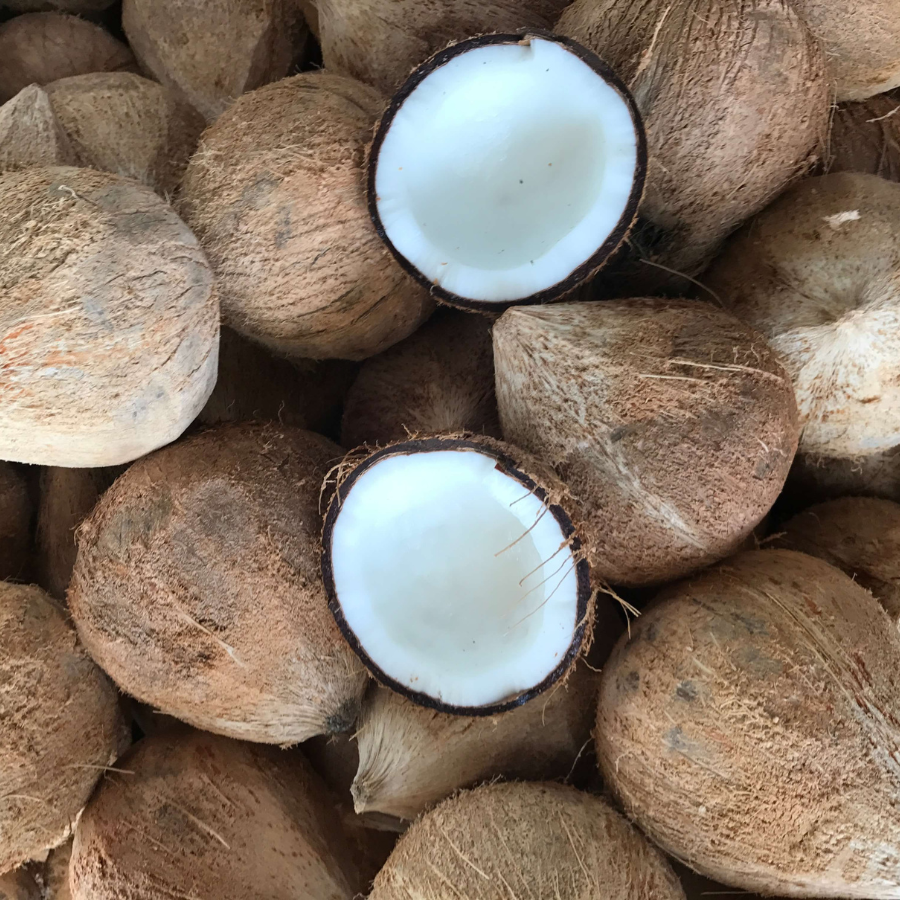 DRIED COCONUT FROM VIETNAM