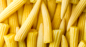 baby corn