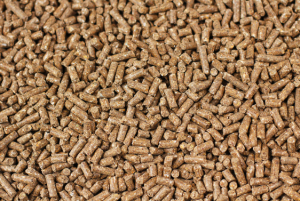 Bagasse Pellets